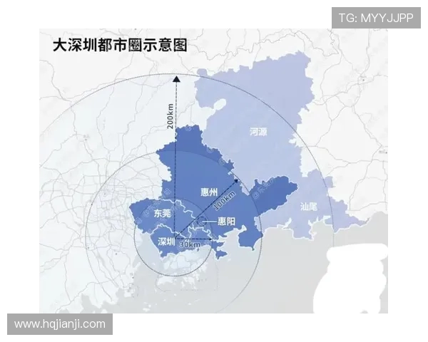深圳乒乓球队防守革新之路探索与实践的深度分析与展望