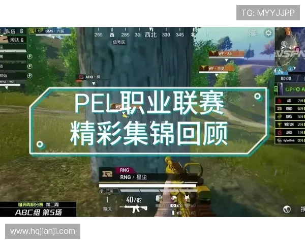 和平精英耐力排名再创新高RNG战队表现引发热议